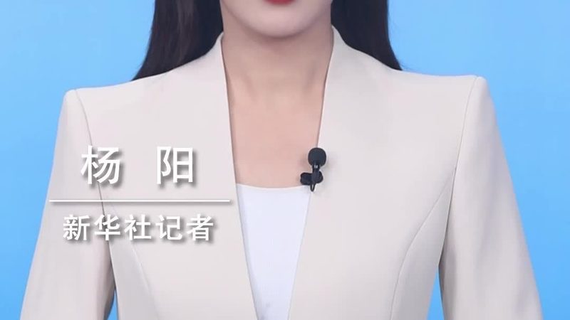 功能对比表：批发采购中的关键考量因素**